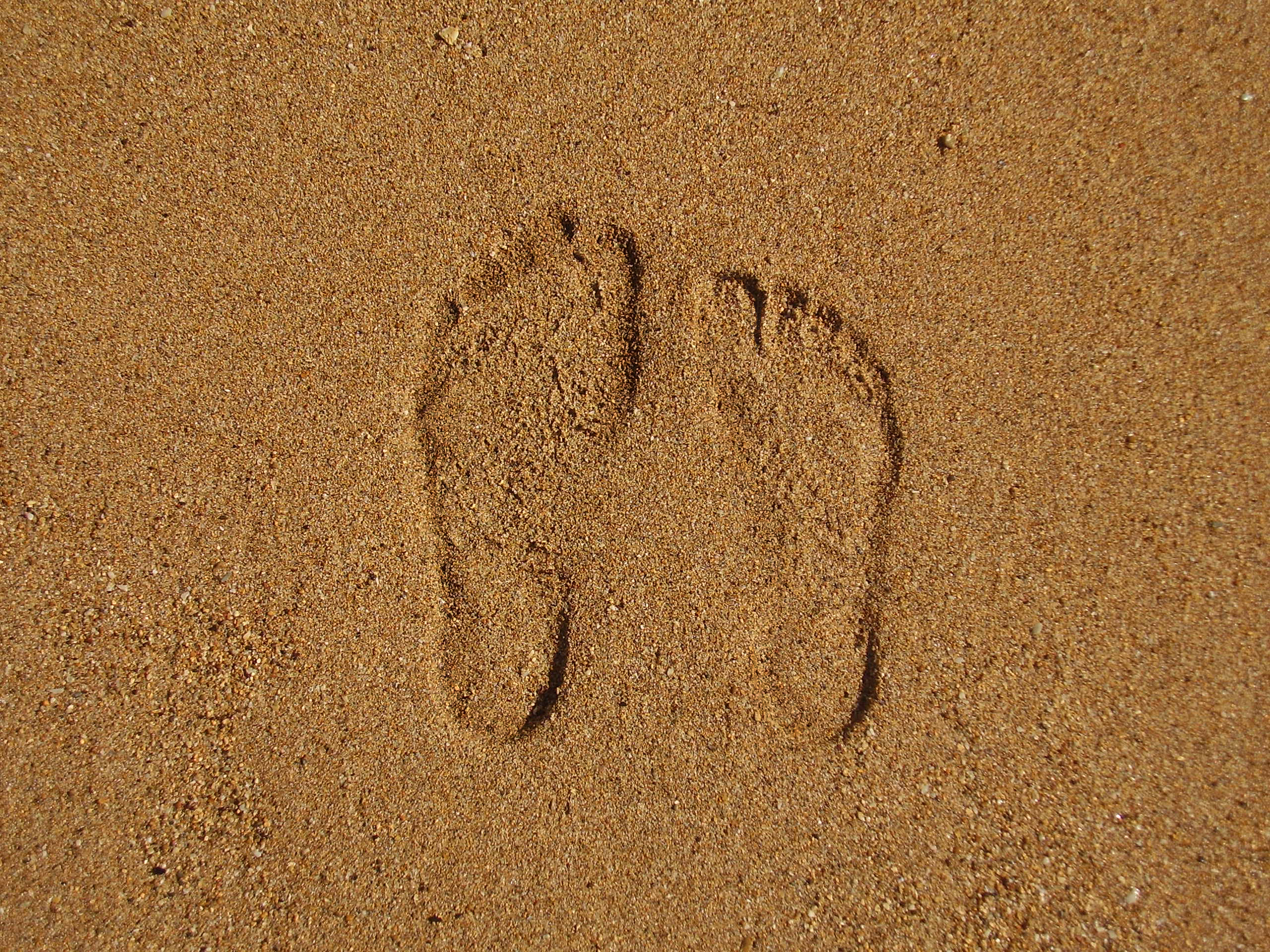 Следы на песке слушать. Отпечаток на песке. Следы на песке. Отпечаток ноги на песке.